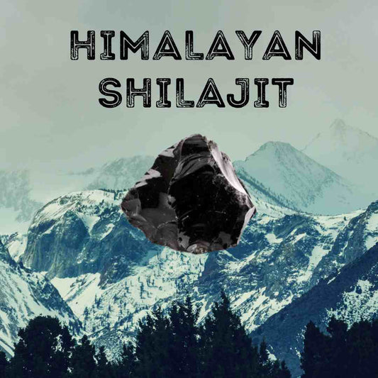 Title: "Harnessing the Potency of Shilajit: Your Definitive Guide to Health and Vitality" Zenius India