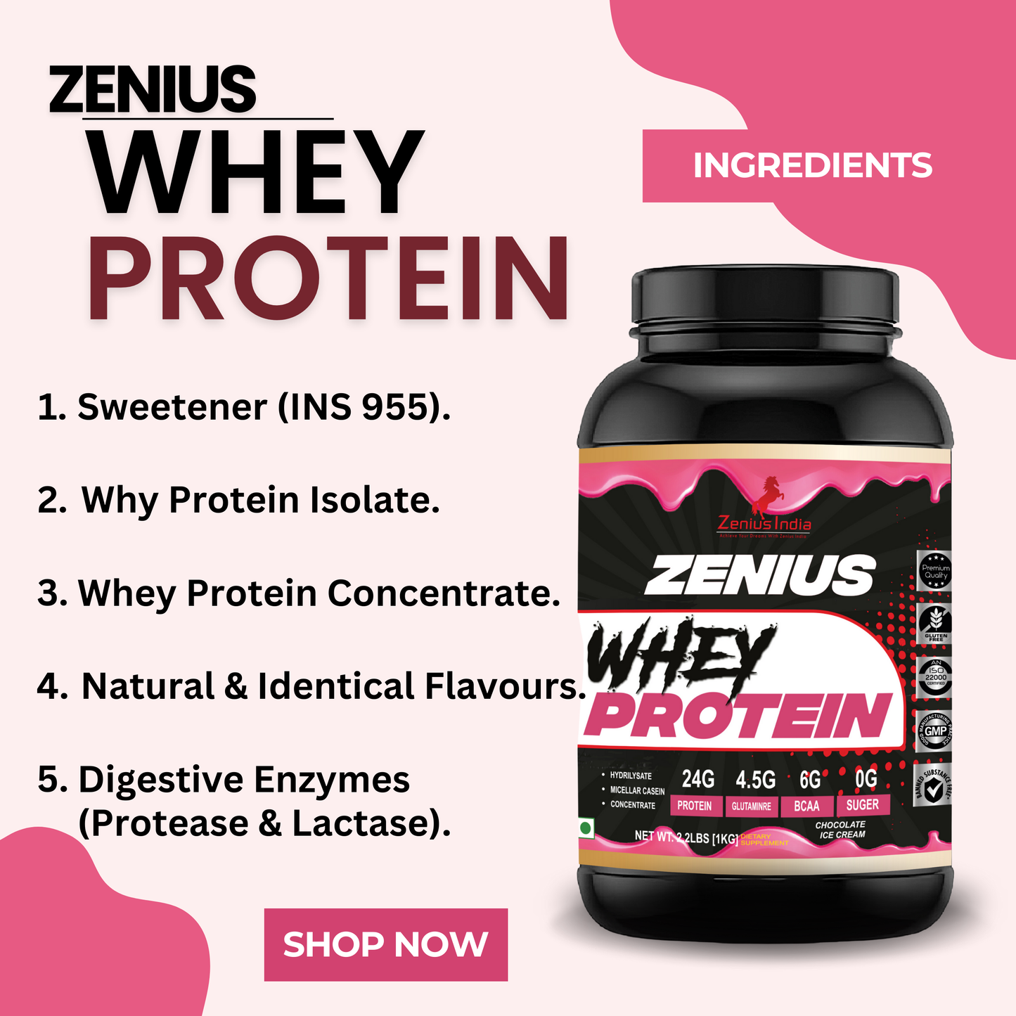 Zenius Whey Protein with Chocolate Ice Cream Flavor for Stronger Muscles - 1Kg - Zenius India