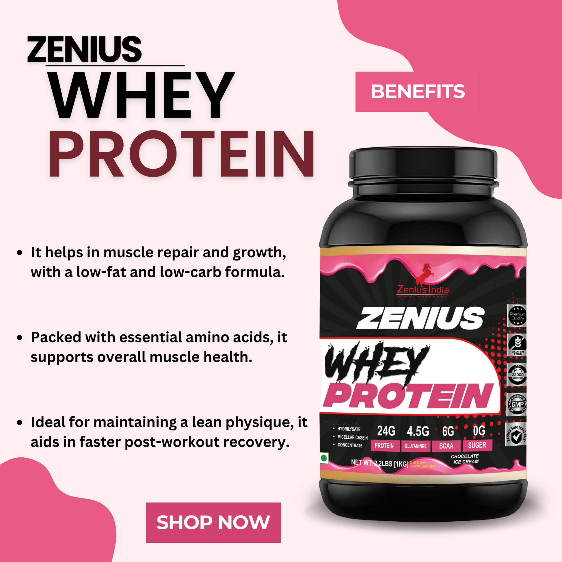 Zenius Whey Protein with Chocolate Ice Cream Flavor for Stronger Muscles - 1Kg - Zenius India