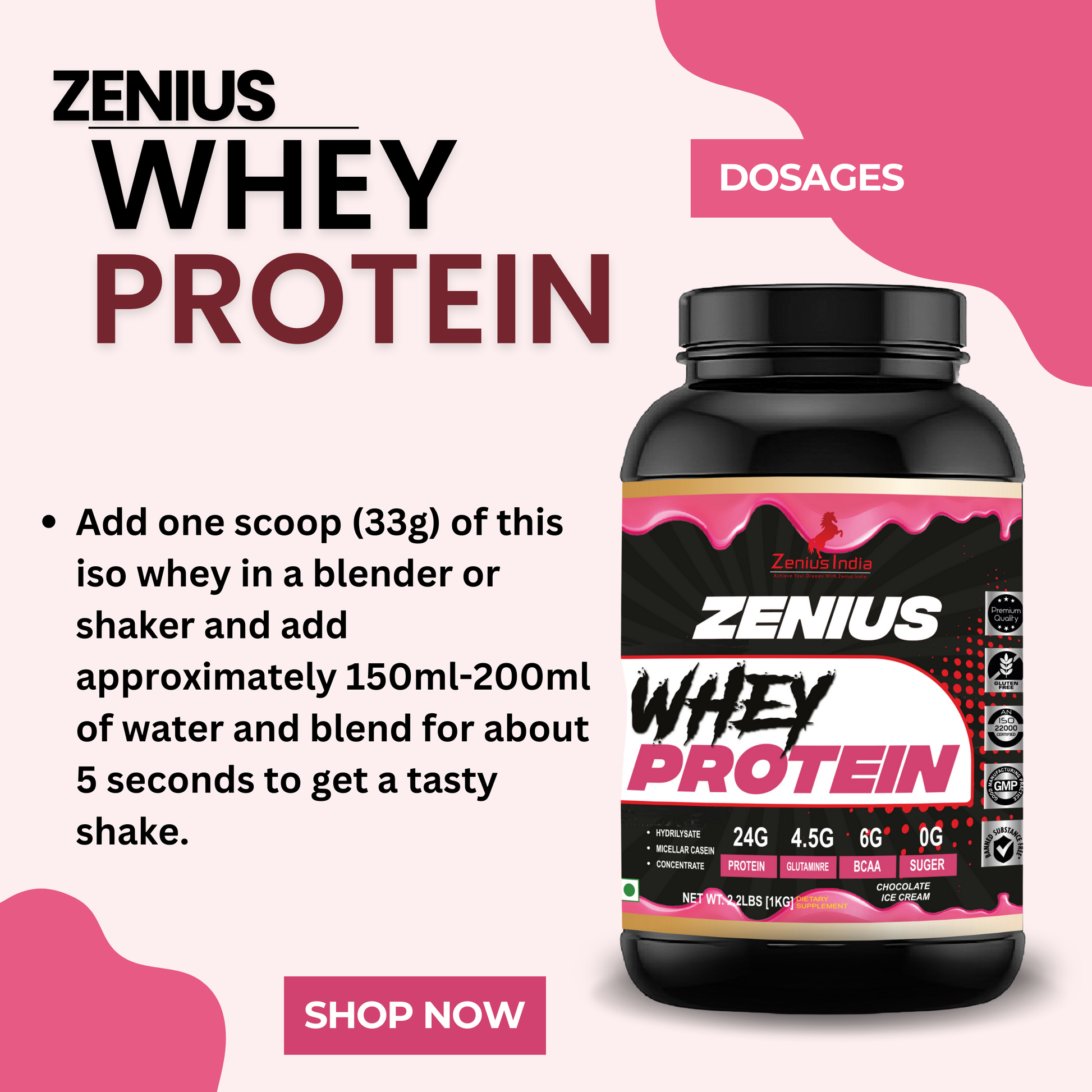 Zenius Whey Protein with Chocolate Ice Cream Flavor for Stronger Muscles - 1Kg - Zenius India