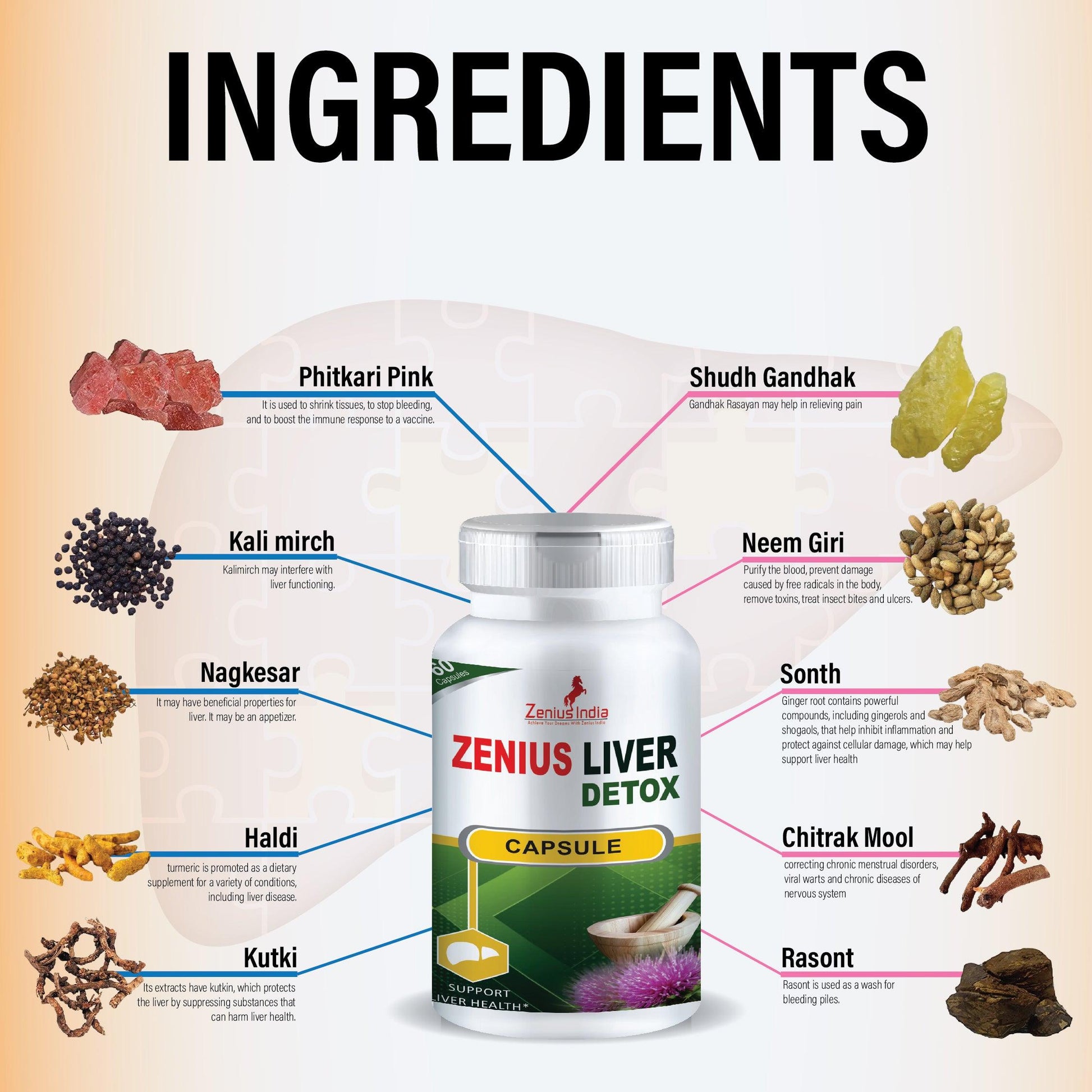 Zenius Liver Detox Casule for Liver Treatment Capsule | Liver Health Supplements - 60 Capsules Zenius India