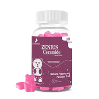 Zenius Passionate Ceramide Fruit Gummies for Glowing Skin - Natural passion fruit flavored ayurvedic gummies in a bottle on a white background.