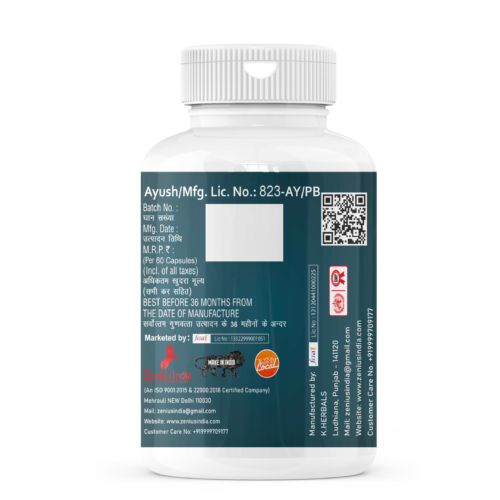 Zenius of Thor Capsule - Image 3