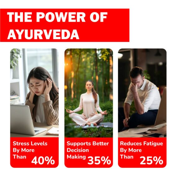 Zenius Active Capsule - Image 5