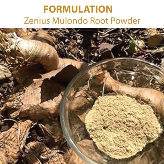 Zenius Mulondo Root Powder for Sperm Count Increase Medicine - Image 3