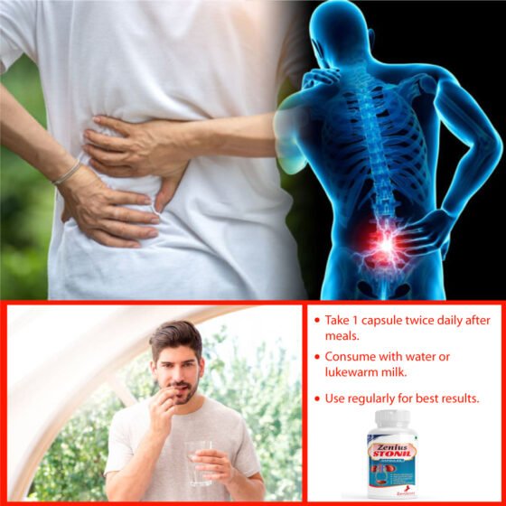 Zenius Stonil Capsule - Image 4