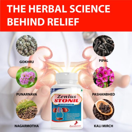 Zenius Stonil Capsule - Image 3