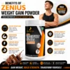 Zenius Weight Gain Powder