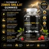 Benefits Image 1 Zenius Shilajit Gummies