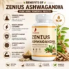 Benefits Image 1 Zenius Ashwagandha Capsule for Stress Relief, Energy & Daily Wellness