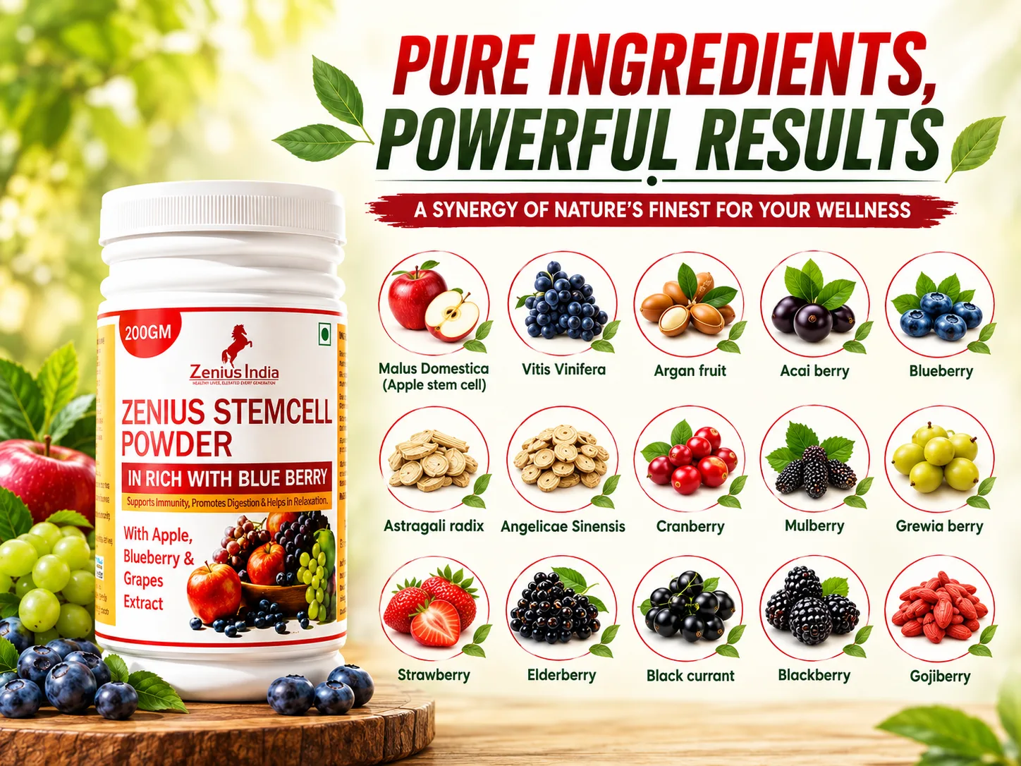 Zenius Stemcell Powder for Immunity, Gut & Digestive Health 4 Ingredients Banner MObile View 45 Zenius India
