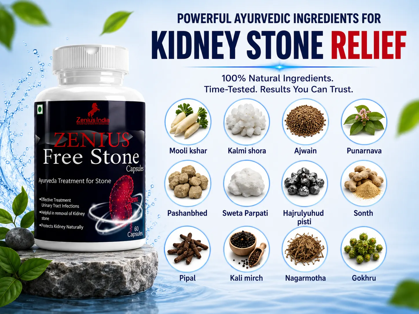 Ingredients Banner Mobile View 109 Zenius India