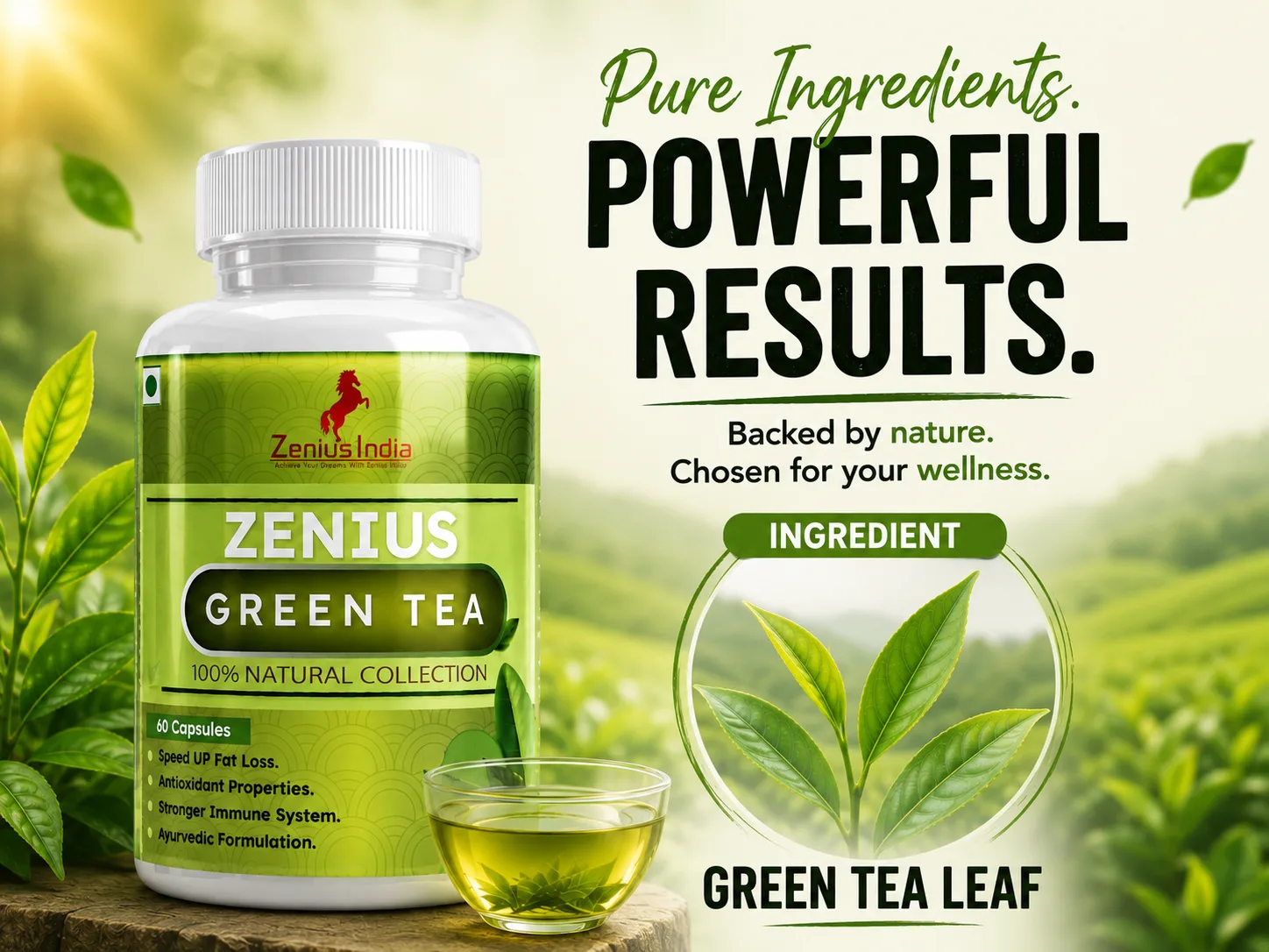 Zenius Green Tea Capsule for Weight Management Support 4 Ingredients Banner Mobile View 32 Zenius India