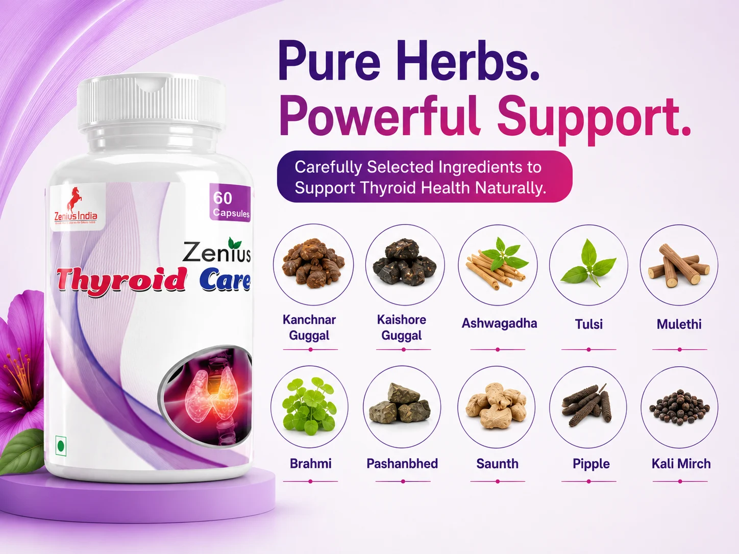 Ingredients Banner Mobile View 41 Zenius India