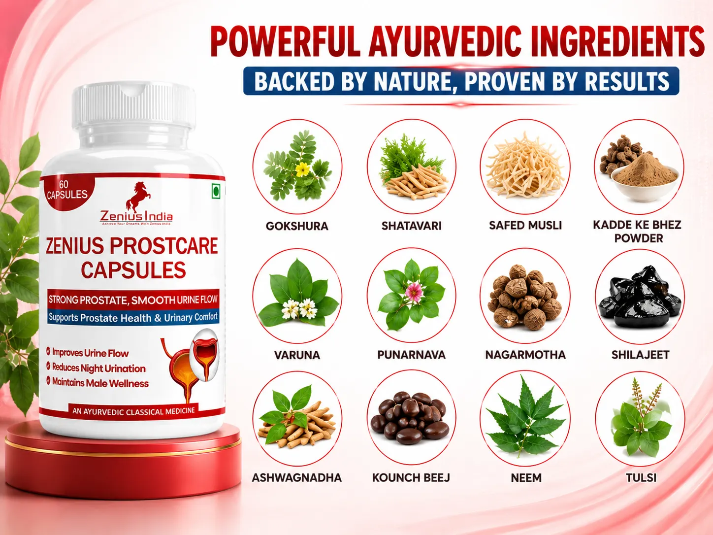 Ingredients Banner Mobile View 44 Zenius India