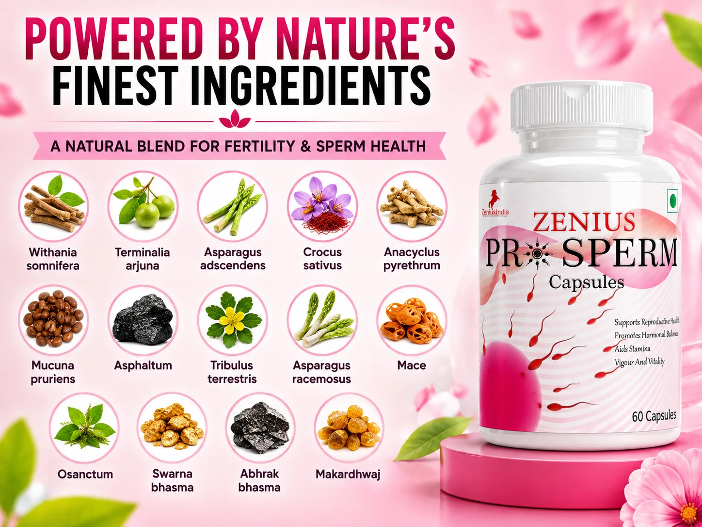 Ingredients Banner Mobile View 76 Zenius India