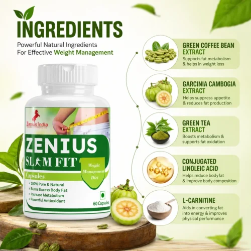 Ingredients Image 1 Zenius Slim Fit Capsule for Weight Loss & control Cravings