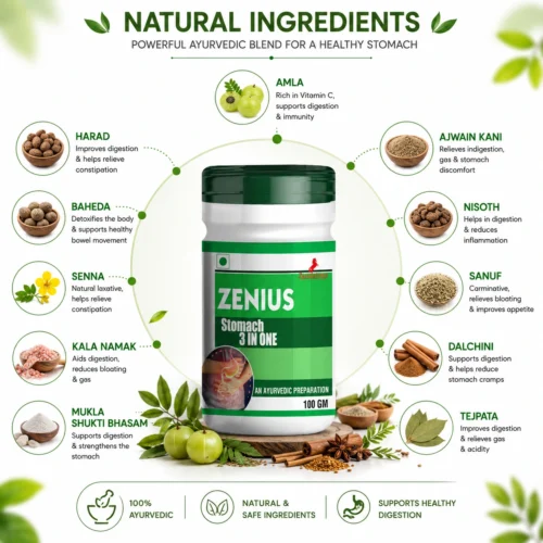 Ingredients Image 1 Zenius Stomach 3 in One Powder