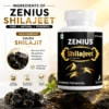 Ingredients Image 1 Zenius Shilajeet 30 Capsule
