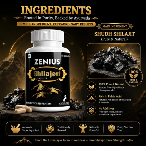 Ingredients Image 1 Zenius Shilajeet 60 Capsule