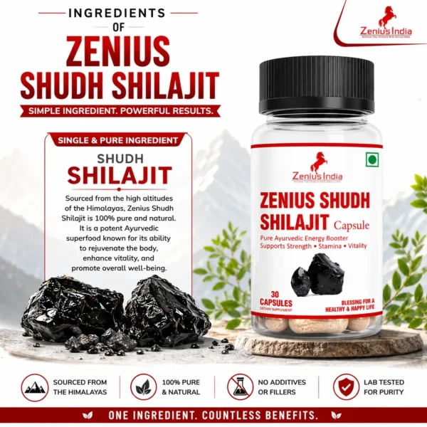 Ingredients Image 1 Zenius Shudh Shilajit Capsule