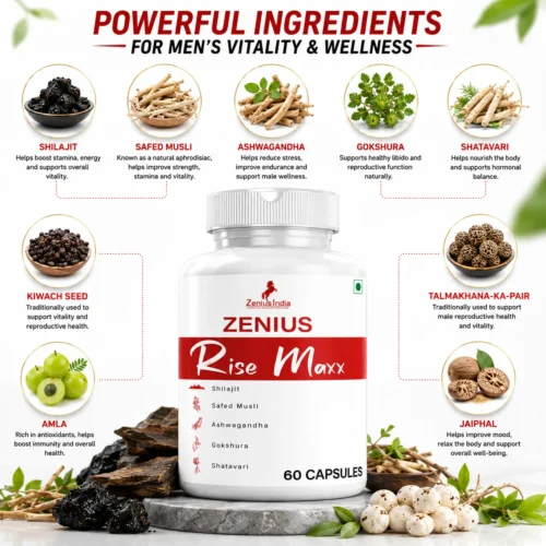 Ingredients Image 1 Zenius Rise Maxx Capsule