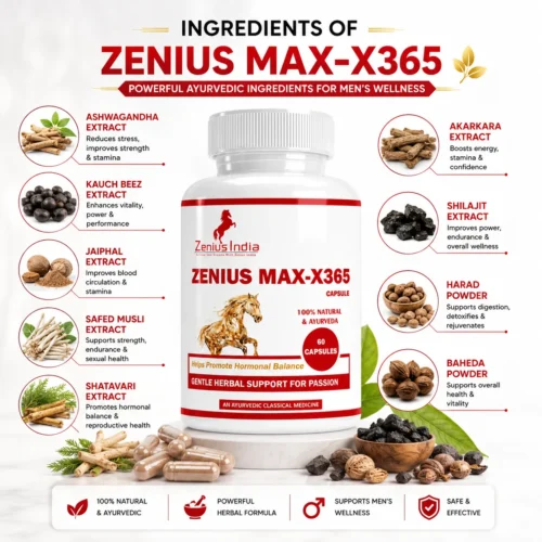 Ingredients Image 1 Zenius MAX-X365 Capule