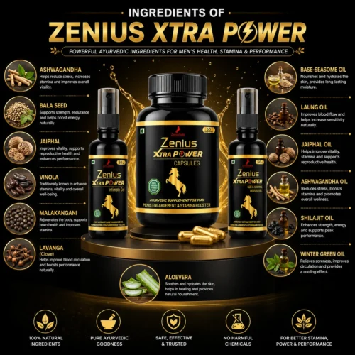 Zenius Xtra Power Kit