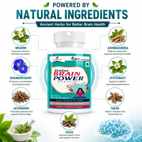 Ingredients Image 1 Zenius Brain Power Capsule for Focus & Memory Support