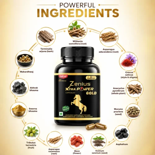 Ingredients Image 1 Zenius Xtar Power Gold Morning Capsule