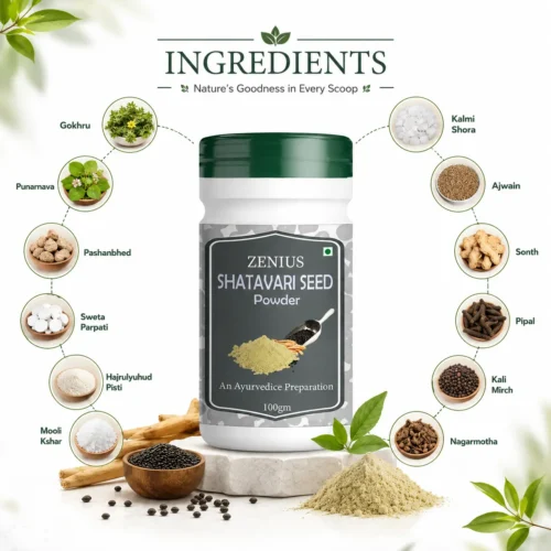 Ingredients Image 1 Zenius shatavari seed Powder