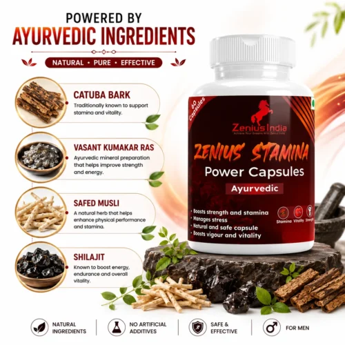 Ingredients Image 1 Zenius Stamina Power Capsule