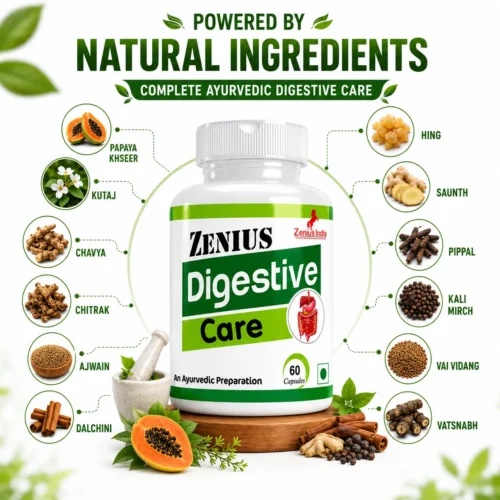 Ingredients Image 1 Zenius Digestive Care Capsule