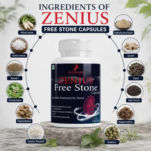 Ingredients Image 1 Zenius Free Stone Capsule