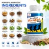 Ingredients Image 1 Zenius Height Up Capsule
