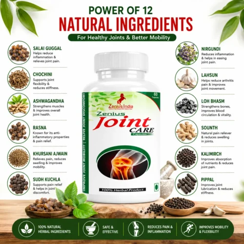 Ingredients Image 1 Zenius Joint Care Capsule