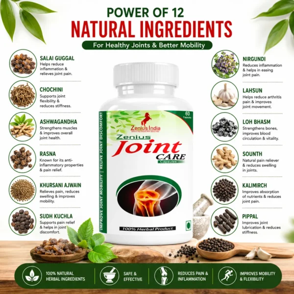Ingredients Image 1 Zenius Joint Care Capsule