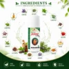 Ingredients Image 1 Zenius Joint Care Oil