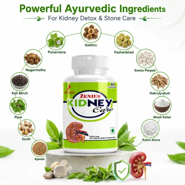 Ingredients Image 1 Zenius Kidney Care Capsule