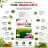 Ingredients Image 1 Zenius Liver Detox Capsule