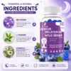 Ingredients Image 1 Zenius Melatonin Wild Berry Gummies