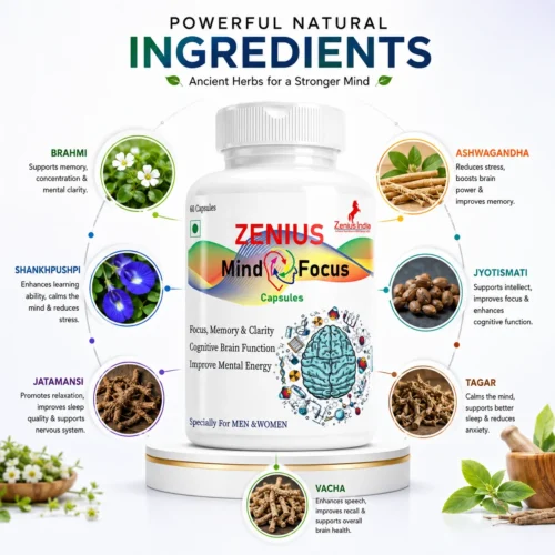 Ingredients Image 1 Zenius Mind Focus Capsule