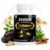 Zenius Shilajeet 60 Capsule