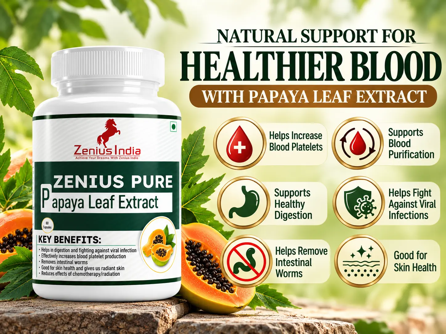 Zenius Pure Papaya Leaf Extract Capsule | Herbal Papaya Supplement for Blood Health 3 Papaya Leaf Extract Wellness Banner 1 Zenius India