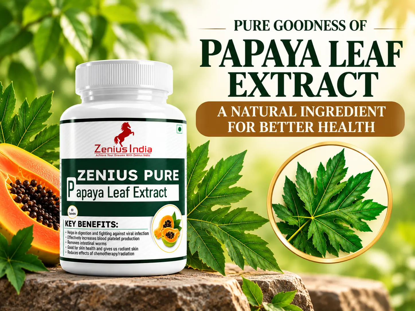 Zenius Pure Papaya Leaf Extract Capsule | Herbal Papaya Supplement for Blood Health 4 Papaya Leaf Extract Wellness Showcase Zenius India