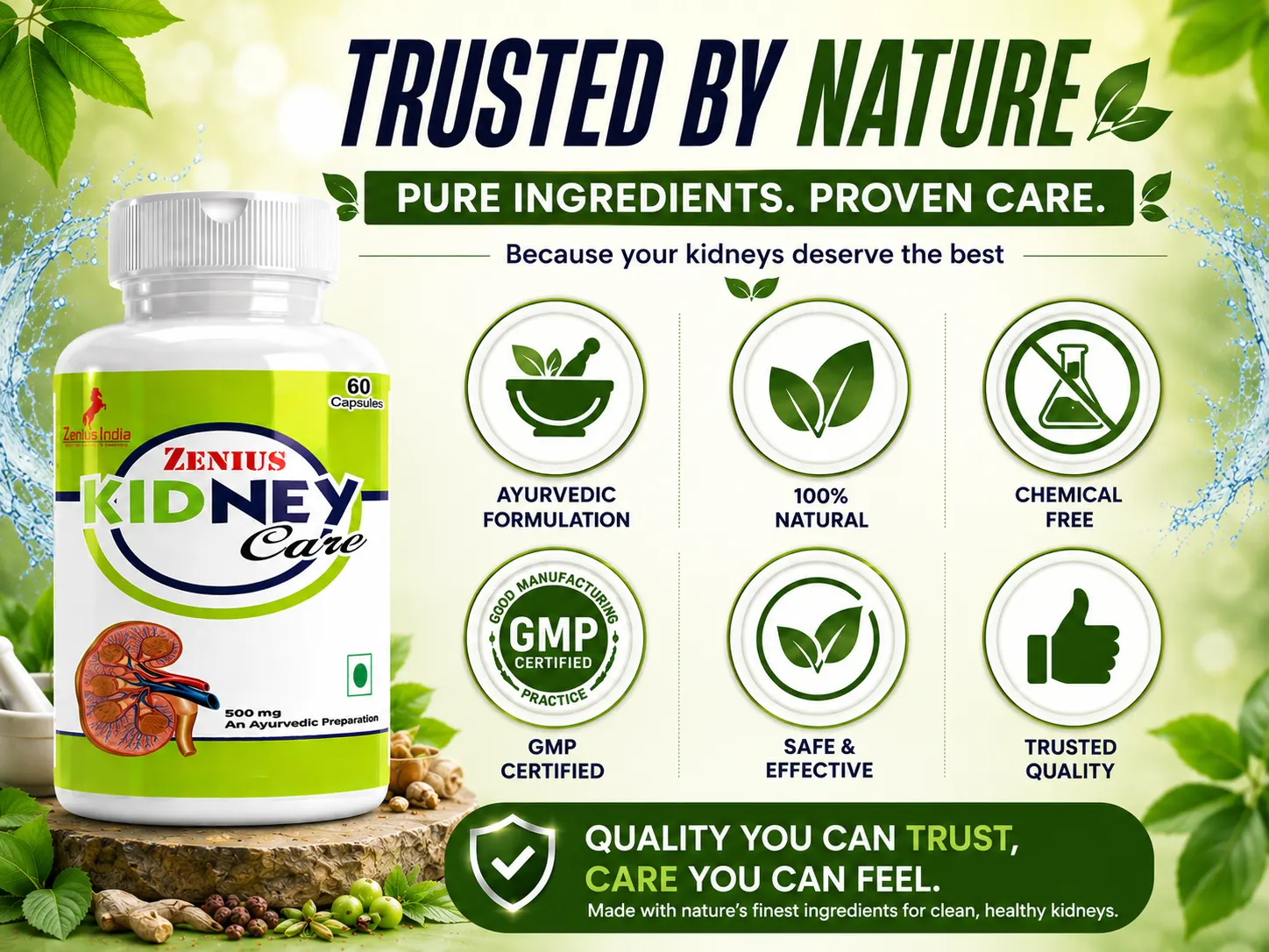 Zenius Kidney Care Capsule for Kidney Health Support 6 Trust Badge Mobile View 16 Zenius India