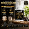 Zenius Shilajeet 60 Capsule