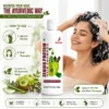 Use Image 1 Zenius Protein Hair Shampoo