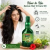 Zenius Hair O Care Oil for Hair Fall & Scalp Care