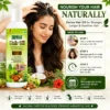 Use Image 1 Zenius Hair Oil for Hairfall & Scalp Care
